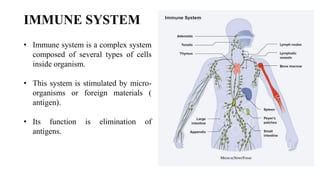 Comprehensive Overview of Immunology and the Human Immune System | PDF