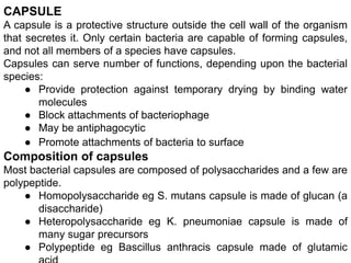 Microbiology lecture.pptx