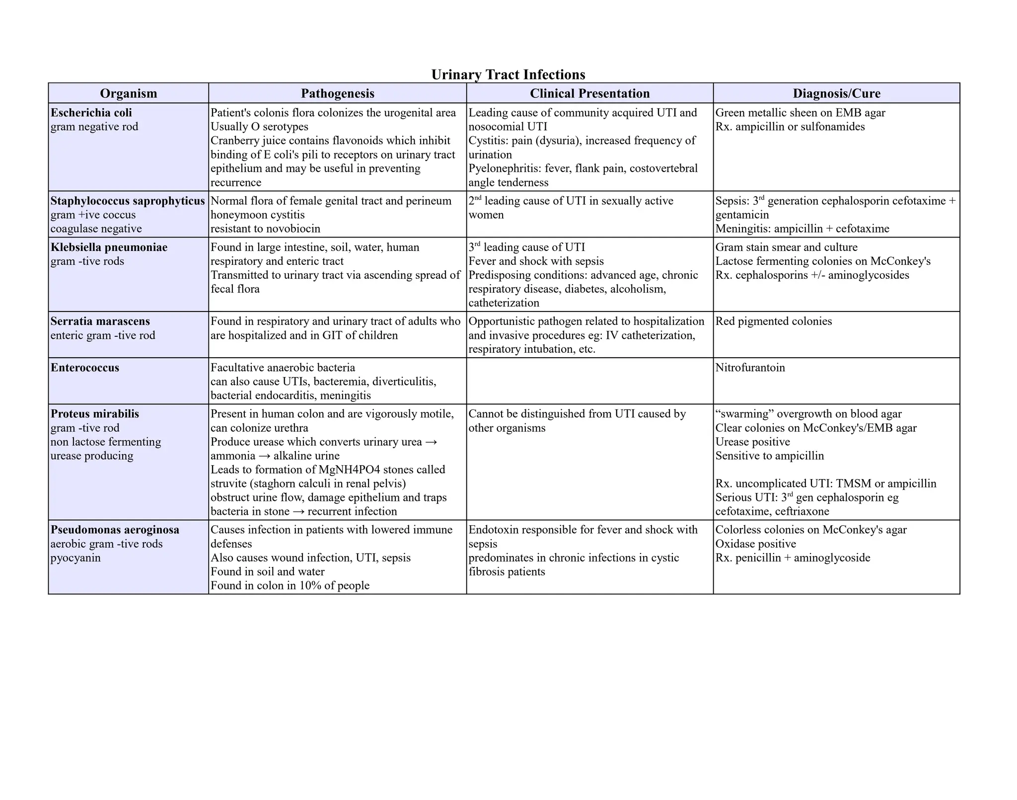 Microbiology Notes.pdf