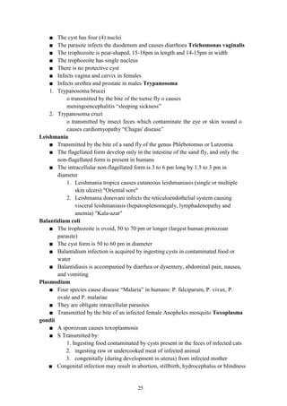 microbiology notes final-2.pdf read through | PDF