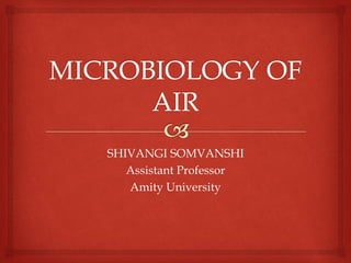 SHIVANGI SOMVANSHI
Assistant Professor
Amity University
 