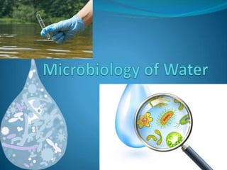 Microbiology of Air, Water and Soil