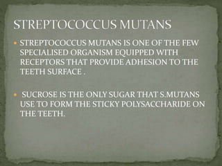 Microbiology of dental caries | PPTX