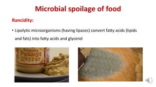 Microbiology of Food Milk and Milk products.pdf