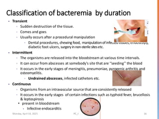 Comprehensive Overview of Bloodstream Infections and Sepsis ...