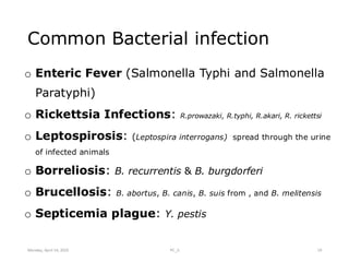 Comprehensive Overview of Bloodstream Infections and Sepsis ...