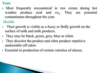 Yeast
 Most frequently encountered in raw cream during hot
weather produce acid and co2. They are potential
contaminants throughout the year.
Moulds
 Their growth is visible as a fuzzy or fluffy growth on the
surface of milk and milk products.
 They may be black, green, grey, blue or white.
 They discolor the product and often produce repulsive
undesirable off odors
 Essential in production of certain varieties of cheese.
 