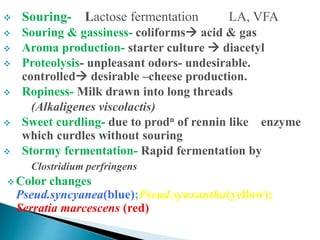  Souring- Lactose fermentation LA, VFA
 Souring & gassiness- coliforms acid & gas
 Aroma production- starter culture  diacetyl
 Proteolysis- unpleasant odors- undesirable.
controlled desirable –cheese production.
 Ropiness- Milk drawn into long threads
(Alkaligenes viscolactis)
 Sweet curdling- due to prodn of rennin like enzyme
which curdles without souring
 Stormy fermentation- Rapid fermentation by
Clostridium perfringens
 Color changes
Pseud.syncyanea(blue);Pseud.synxantha(yellow);
Serratia marcescens (red)
 