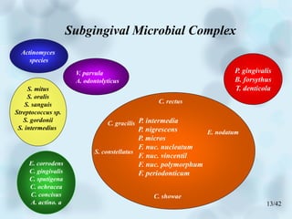 Microbiology of disease- part 2