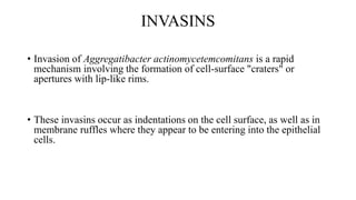 Microbiology of periodontal diseases | PPTX