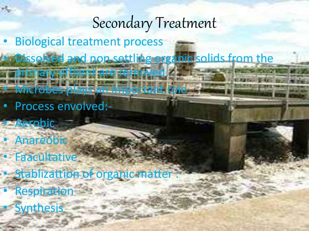 Microbiology of waste water treatment