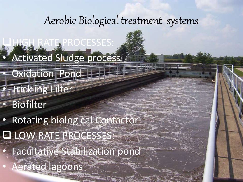 Microbiology of waste water treatment