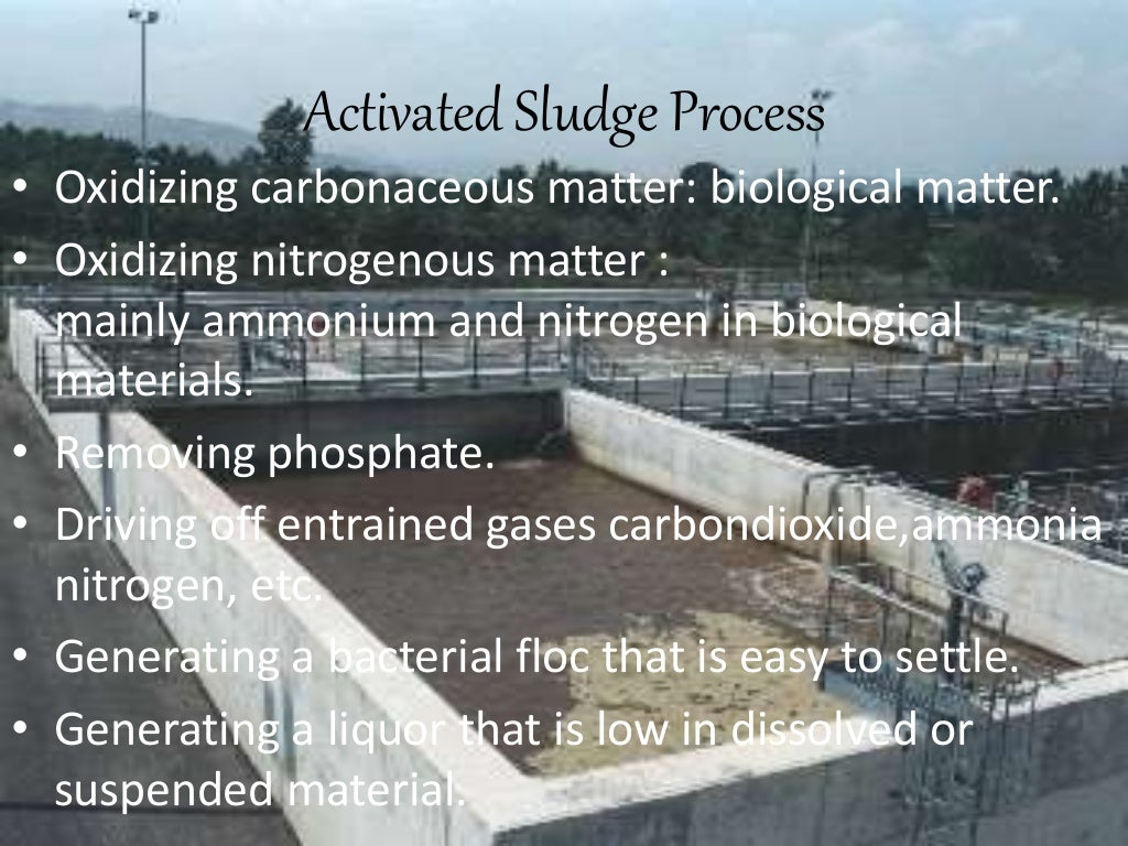 Microbiology of waste water treatment