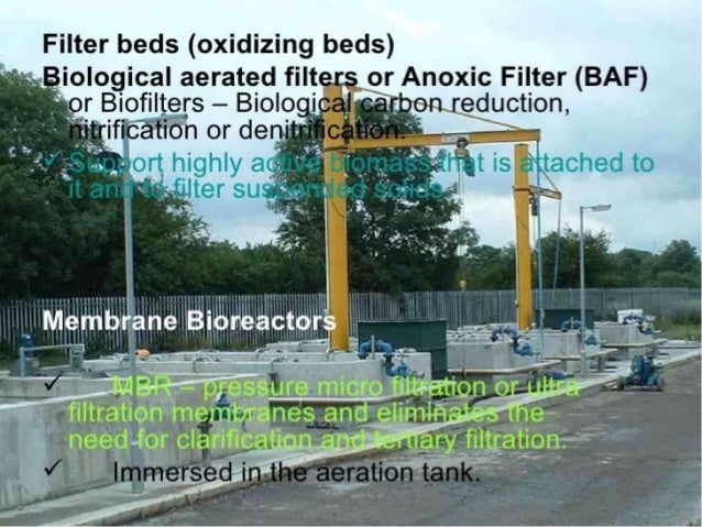 Microbiology of waste water treatment