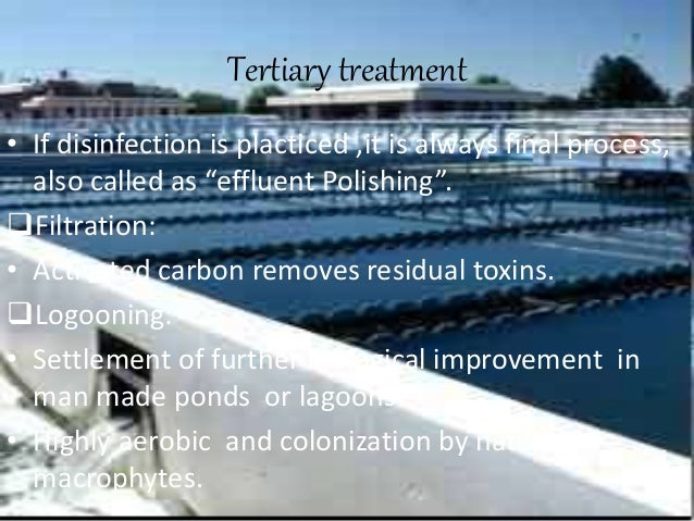 Microbiology of waste water treatment