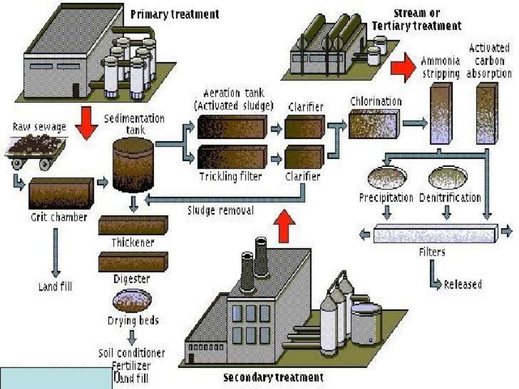 Microbiology of waste water treatment