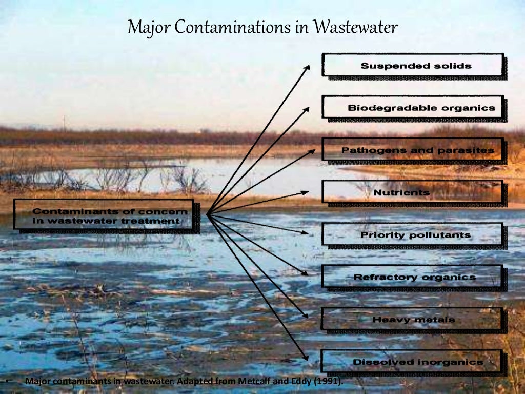 Microbiology of waste water treatment