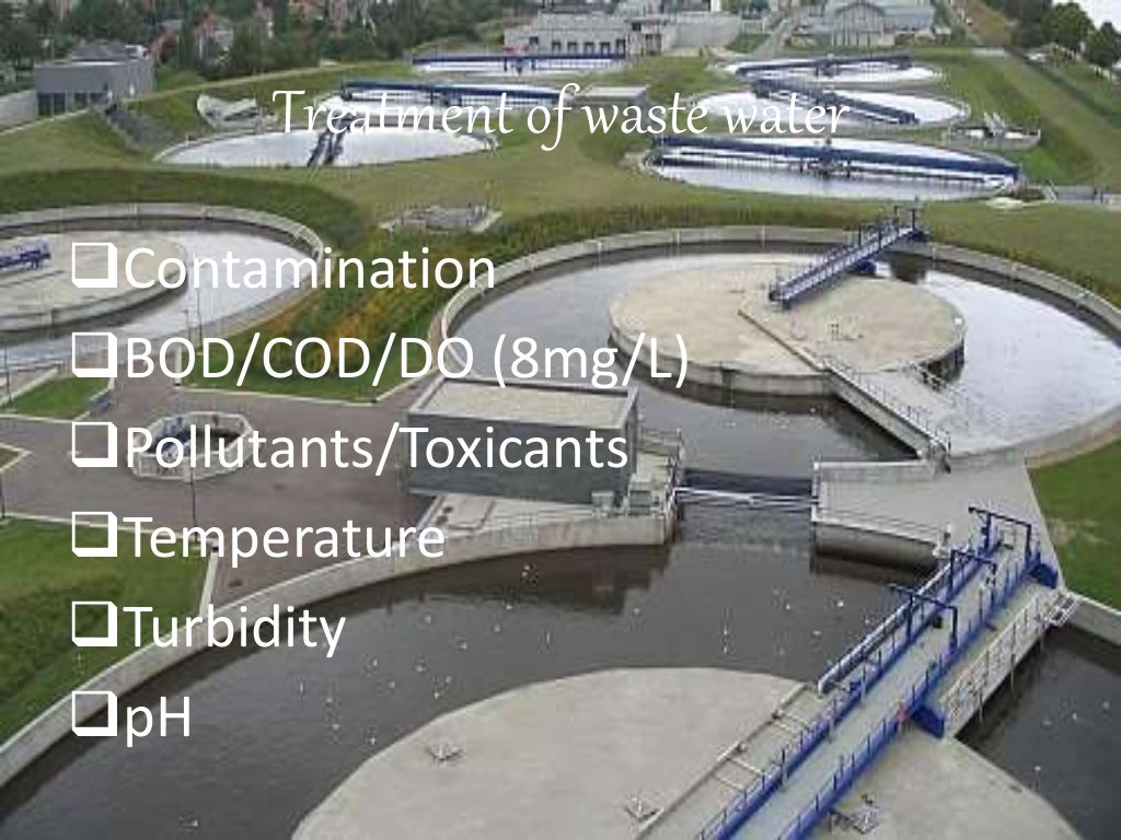 Microbiology of waste water treatment