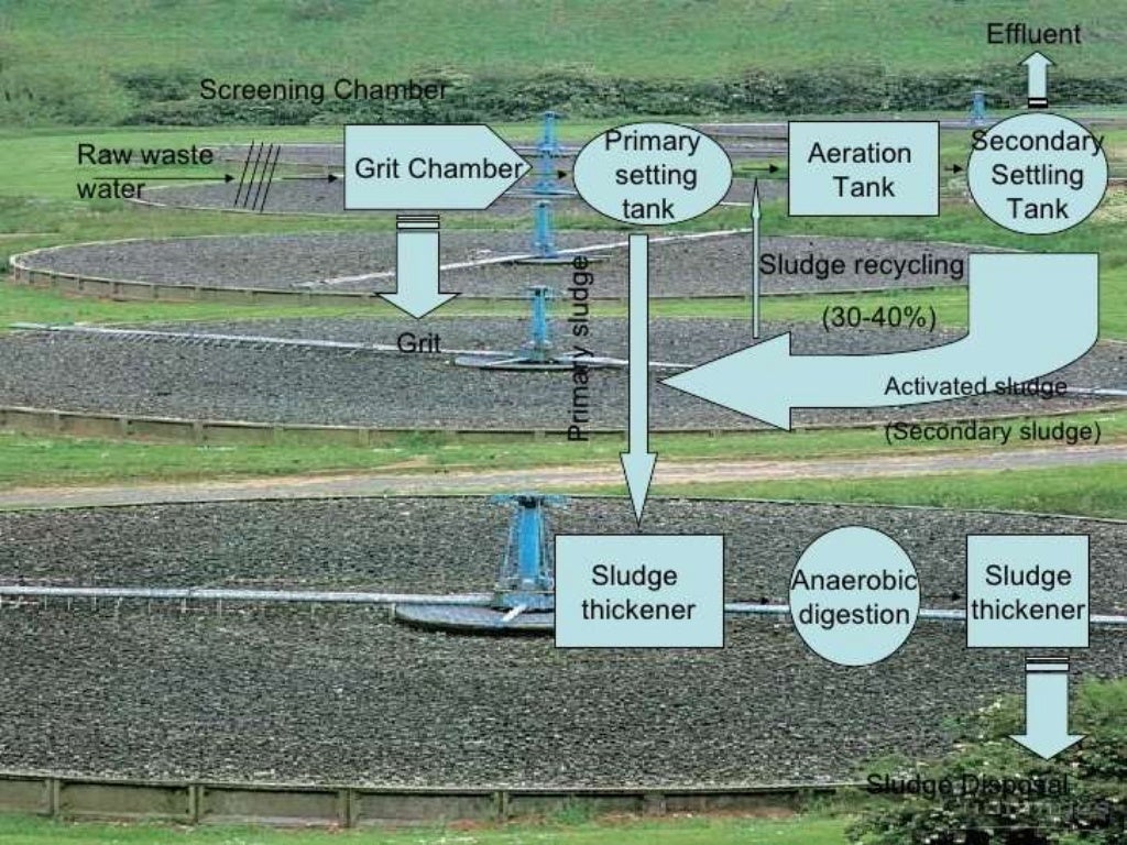 Microbiology of waste water treatment
