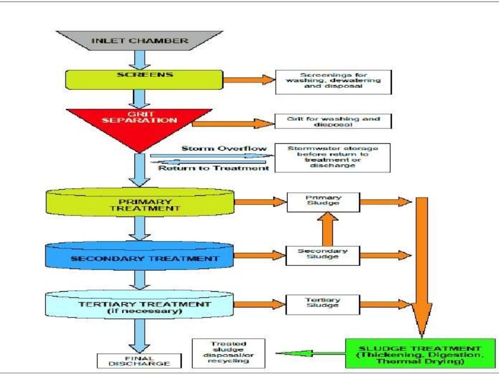 Microbiology of waste water treatment