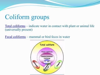 Microbiology of water | PPTX