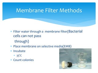 Microbiology of water | PPTX