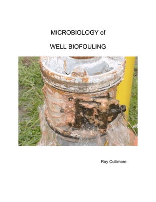MICROBIOLOGY of
WELL BIOFOULING
Roy Cullimore
 