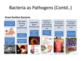 Bacteria as Pathogens (Contd..)
Gram Positive Bacteria
Mycoplasmas (M.
pneumoniae)
Mycobacterium
(M. tuberculosis,
M. bovis, M.
leprae)
Non spore
forming
gram
positive rods
Listeria (L.
monocytogenes)
Corynebacterium (C.
diptheriae)
Anaerobic
Spore
forming rods
Clostridium (C.
tetani, C.
perfrigens, C.
botunalism)
Aerobic /F.
anaerobic
gram positive
spore forming
rods
Bacillus (B.
anthrax)
Aerotolerant
Fermentive
gram positive
cocci
Streptococcus
(S. pyrogenes, S
pneumoniae)
Facultatively
anaerobic
gram positive
cocci
Staphylococcus
(S. aureus)
 