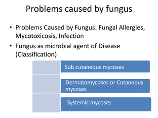 Problems caused by fungus
• Problems Caused by Fungus: Fungal Allergies,
Mycotoxicosis, Infection
• Fungus as microbial agent of Disease
(Classification)
Sub cutaneous mycoses
Dermatomycoses or Cutaneous
mycoses
Systemic mycoses
 