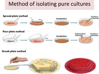 Method of isolating pure cultures
Streak-plate method
Pour-plate method
Spread-plate method
 