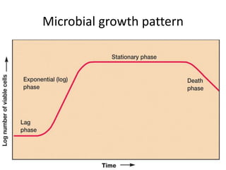 Microbial growth pattern
 