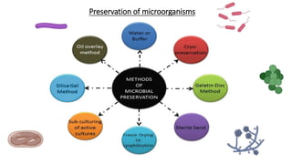 Preservation of microorganisms
 