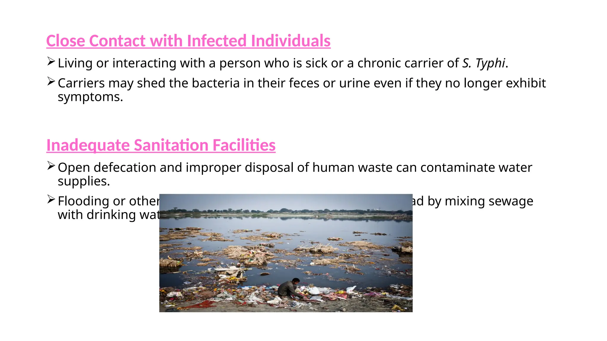 Typhoid fever and Cholera. Symptoms, transmission, diagnosis, treatment ...