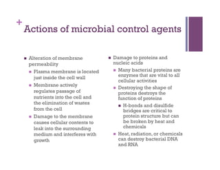 +
    Actions of microbial control agents

        Alteration of membrane               Damage to proteins and
         permeability                          nucleic acids
           Plasma membrane is located           Many bacterial proteins are

            just inside the cell wall             enzymes that are vital to all
                                                  cellular activities
           Membrane actively
                                                 Destroying the shape of
            regulates passage of                  proteins destroys the
            nutrients into the cell and           function of proteins
            the elimination of wastes
                                                    H-bonds and disulfide
            from the cell                            bridges are critical to
           Damage to the membrane                   protein structure but can
            causes cellular contents to              be broken by heat and
            leak into the surrounding                chemicals
            medium and interferes with           Heat, radiation, or chemicals
            growth                                can destroy bacterial DNA
                                                  and RNA
 