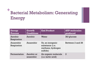 +
    Bacterial Metabolism: Generating
    Energy

    Energy         Growth       End Product           ATP molecules
    Process        Conditions                         produced
    Aerobic        Aerobic      Water                 38/glucose
    Respiration
    Anaerobic      Anaerobic    Us. an inorganic      Between 2 and 38
    Respiration                 substance (i.e.
                                methane, hydrogen
                                sulfide)
    Fermentation   Aerobic or   An organic molecule   2
                   anaerobic    (i.e. lactic acid)
 