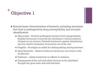 +
    Objective 1

        Discuss basic characteristics of bacteria, including structures
         that lead to pathogenicity, drug susceptibility, and accurate
         identification
               Glycocalyx - Protects pathogenic bacteria from phagocytosis,
                Enables bacterium to survive by attaching to various surfaces
                (Streptococcus mutans), Protects bacterium against dehydration
                and can inhibit movement of nutrients out of the cell
               Flagella – H-antigen is useful for distinguishing among serovars
               Axial filaments – allows motility so bacterium can travel to site
                of infection
               Fimbriae – allows bacterium to adhere to surfaces
               Components of the cell wall allow bacteria to be identified
                through the gram stain and acid fast stain
 