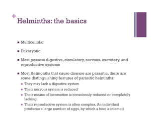 +
    Helminths: the basics

        Multicellular

        Eukaryotic

        Most possess digestive, circulatory, nervous, excretory, and
         reproductive systems

        Most Helmonths that cause disease are parasitic, there are
         some distinguishing features of parasitic helminths:
             They may lack a digestive system
             Their nervous system is reduced
             Their means of locomotion is occasionaly reduced or completely
              lacking
             Their reproductive system is often complex. An individual
              produces a large number of eggs, by which a host is infected
 