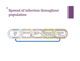 +
    Spread of infection throughout
    population
 