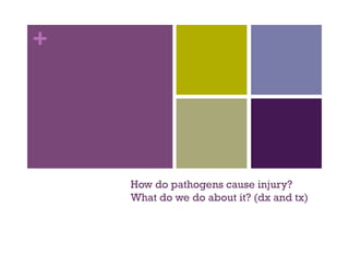 +




    How do pathogens cause injury?
    What do we do about it? (dx and tx)
 