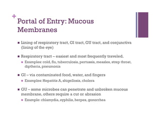 +
    Portal of Entry: Mucous
    Membranes
        Lining of respiratory tract, GI tract, GU tract, and conjunctiva
         (lining of the eye)

        Respiratory tract – easiest and most frequently traveled.
             Examples: cold, flu, tuberculosis, pertussis, measles, strep throat,
              diptheria, pneumonia

        GI – via contaminated food, water, and fingers
             Examples: Hepatitis A, shigellosis, cholera

        GU – some microbes can penetrate and unbroken mucous
         membrane, others require a cut or abrasion
             Example: chlamydia, syphilis, herpes, gonorrhea
 