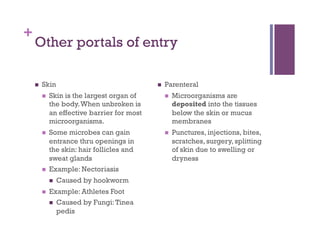 +
    Other portals of entry

        Skin                                     Parenteral
             Skin is the largest organ of             Microorganisms are
              the body. When unbroken is                deposited into the tissues
              an effective barrier for most             below the skin or mucus
              microorganisms.                           membranes
             Some microbes can gain                   Punctures, injections, bites,
              entrance thru openings in                 scratches, surgery, splitting
              the skin: hair follicles and              of skin due to swelling or
              sweat glands                              dryness
             Example: Nectoriasis
                  Caused by hookworm
             Example: Athletes Foot
                  Caused by Fungi: Tinea
                   pedis
 