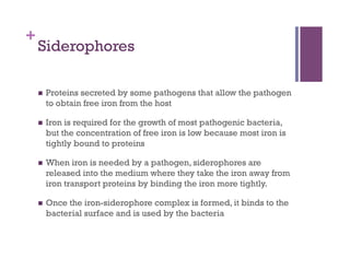 +
    Siderophores

        Proteins secreted by some pathogens that allow the pathogen
         to obtain free iron from the host

        Iron is required for the growth of most pathogenic bacteria,
         but the concentration of free iron is low because most iron is
         tightly bound to proteins

        When iron is needed by a pathogen, siderophores are
         released into the medium where they take the iron away from
         iron transport proteins by binding the iron more tightly.

        Once the iron-siderophore complex is formed, it binds to the
         bacterial surface and is used by the bacteria
 