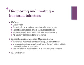 +
    Diagnosing and treating a
    bacterial infection
      Culture
           Gram stain
           Set up culture with best specimen for symptoms
           Identification based on biochemical reactions
           Sensitivities to determine best antibiotic therapy
           All usually completed in 24-72 hours

      Special    consideration for Mycobacteria
           distinctive waxy cell coat requiring Acid Fast Stains
           virulence is related to cell wall “cord factor” which inhibits
            phagosome-lysosome fusion
           Special culture methods used; may take up to 6 weeks

        TX: antibiotics
 