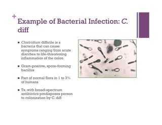 +
    Example of Bacterial Infection: C.
    diff
        Clostridium difficile is a
         bacteria that can cause
         symptoms ranging from acute
         diarrhea to life-threatening
         inflammation of the colon

        Gram-positive, spore-forming
         bacillus

        Part of normal flora in 1 to 3%
         of humans

        Tx. with broad-spectrum
         antibiotics predisposes person
         to colonization by C. diff
 