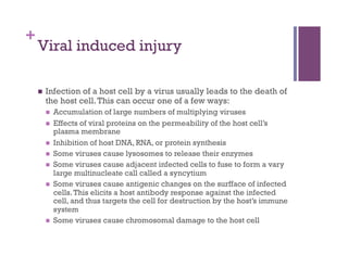 +
    Viral induced injury

        Infection of a host cell by a virus usually leads to the death of
         the host cell. This can occur one of a few ways:
             Accumulation of large numbers of multiplying viruses
             Effects of viral proteins on the permeability of the host cell’s
              plasma membrane
             Inhibition of host DNA, RNA, or protein synthesis
             Some viruses cause lysosomes to release their enzymes
             Some viruses cause adjacent infected cells to fuse to form a vary
              large multinucleate call called a syncytium
             Some viruses cause antigenic changes on the surfface of infected
              cells. This elicits a host antibody response against the infected
              cell, and thus targets the cell for destruction by the host’s immune
              system
             Some viruses cause chromosomal damage to the host cell
 