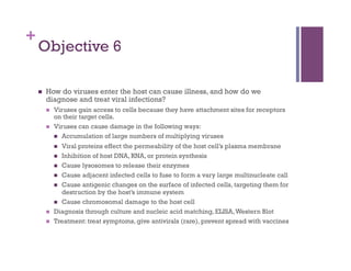 +
    Objective 6

        How do viruses enter the host can cause illness, and how do we
         diagnose and treat viral infections?
             Viruses gain access to cells because they have attachment sites for receptors
              on their target cells.
             Viruses can cause damage in the following ways:
                Accumulation of large numbers of multiplying viruses

                Viral proteins effect the permeability of the host cell’s plasma membrane
                Inhibition of host DNA, RNA, or protein synthesis
                Cause lysosomes to release their enzymes
                Cause adjacent infected cells to fuse to form a vary large multinucleate call
                Cause antigenic changes on the surface of infected cells, targeting them for
                 destruction by the host’s immune system
                Cause chromosomal damage to the host cell
             Diagnosis through culture and nucleic acid matching, ELISA, Western Blot
             Treatment: treat symptoms, give antivirals (rare), prevent spread with vaccines
 