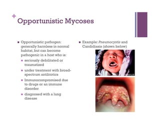 +
    Opportunistic Mycoses

        Opportunistic pathogen:                Example: Pneumocystis and
         generally harmless in normal            Candidiasis (shown below)
         habitat, but can become
         pathogenic in a host who is:
           seriously debilitated or
            traumatized
             under treatment with broad-
              spectrum antibiotics
             Immunocompromised due
              to drugs or an immune
              disorder
             diagnosed with a lung
              disease
 