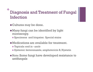 +
    Diagnosis and Treatment of Fungal
    Infection
      Cultures   may be done.
      Many
          fungi can be identified by light
     microscopy.
       Specimens   and biopsies: Special stains

      Medications      are available for treatment.
       Topicals: end in –azole
       Systemic: ketoconazole, amphotericin B, Nystatin

      Note: Some   fungi have developed resistance to
     antifungals
 