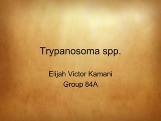 Trypanosoma spp.
Elijah Victor Kamani
Group 84A
 