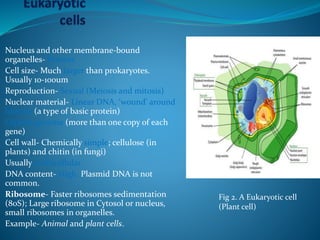 Introduction to Microbiology
